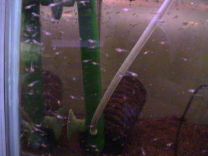 �t������